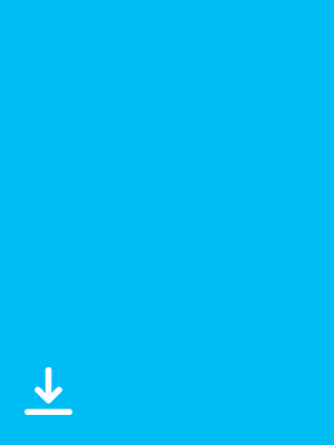 fon 3 1