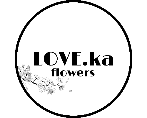 love.ka logo 500h400